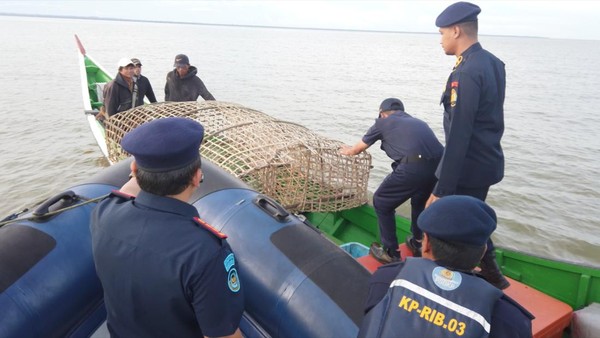 Heboh! Kapal Asing Kembali Curang di Laut Indonesia, KKP Geram!